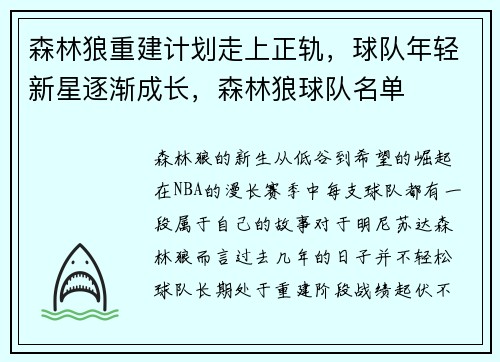 森林狼重建计划走上正轨,球队年轻新星逐渐成长,森林狼球队名单 森林狼重建计划走上正轨,球队年轻新星逐渐成长,森林狼球队名单